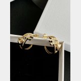 2026 LUXURY WOMEN EARING