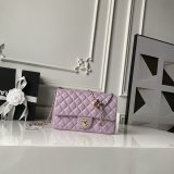 Cruise 2025/26 Mini Flap AS5756 Designer 1:1 Bag