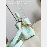 Luxury Louis Vuitton Designer Capucines M29608 Mint Green Handbags