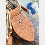 Louis Vuitton Alma MM Soft Celebration Monogram N30049 Bags
