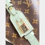 Louis Vuitton All In BB Monogram/Exotic Crocodile N30028 / N30025 Bags