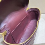 BOTTEGA VENETA Bang Bang Vanity Case 789109