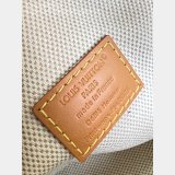 Louis Vuitton Rickshaw Wearable Wallet M28020 Monogram Canvas Bag