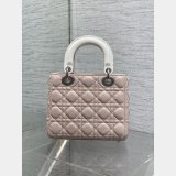 Christian Dior Lady 20CM Women's Designer AAA+ Bag