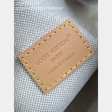 Louis Vuitton Rush Bumbag Monogram M27640 Luxury Bag