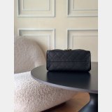 2026 CC 25 Mini Handbag AS5631