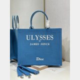 2026 DIOR Book tote