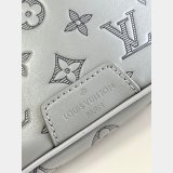The Best Louis Vuitton Discovery Bumbag G65 Men M46108 Replica Bags