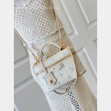 Louis Vuitton Vanity Chain Pouch M27744 New AAA+ Bag