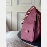 Top Quality CC 25 Medium AS5311 Hobo Handbag