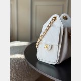 2026 CC 25 Mini Handbag AS5631