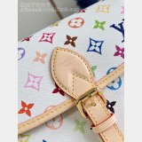 Louis Vuitton LV x TM Diane PM M27866 Monogram Multicolor Canvas Bags