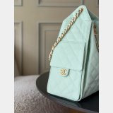 Top Quality CC 25 Medium AS5311 Hobo Handbag