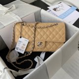 TOP CC Classical Flap 1112 Caviar leather Handbags 25cm