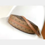 Louis Vuitton Best Monogram Loop Hobo M46311 Leather BAG