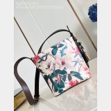UK M29067 All In BB Other Monogram Canvas Louis Vuitton Bag