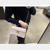 BOTTEGA VENETA Bang Bang Vanity Case 789109