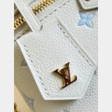 Louis Vuitton Vanity Chain Pouch M27744 New AAA+ Bag
